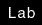 lab.gif (178 bytes)